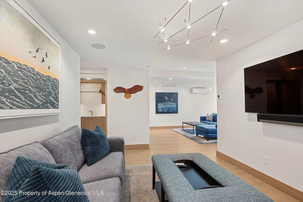 24 of 54 - 447 E Cooper Avenue 1, Aspen, CO