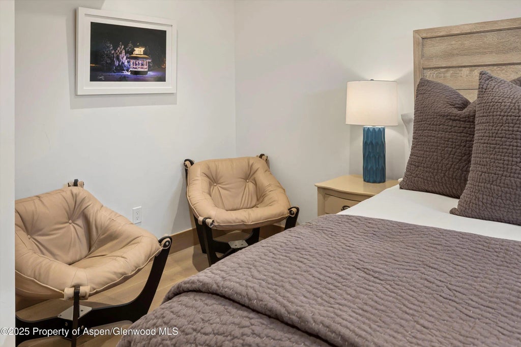 37 of 54 - 447 E Cooper Avenue 1, Aspen, CO