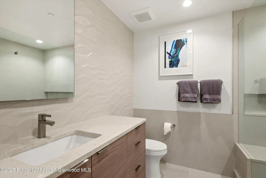 45 of 54 - 447 E Cooper Avenue 1, Aspen, CO