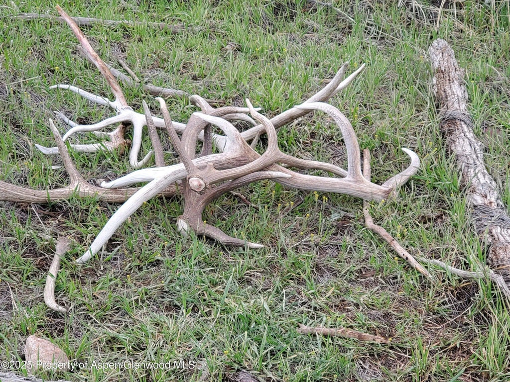 17 of 77 - Tbd County Road 53, Maybell, CO