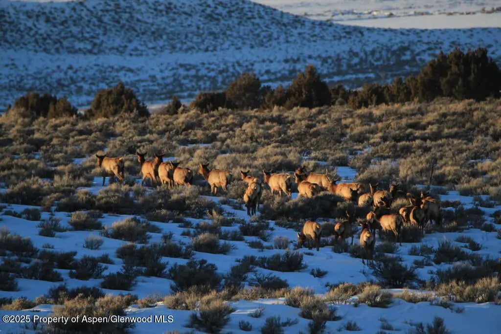 20 of 77 - Tbd County Road 53, Maybell, CO