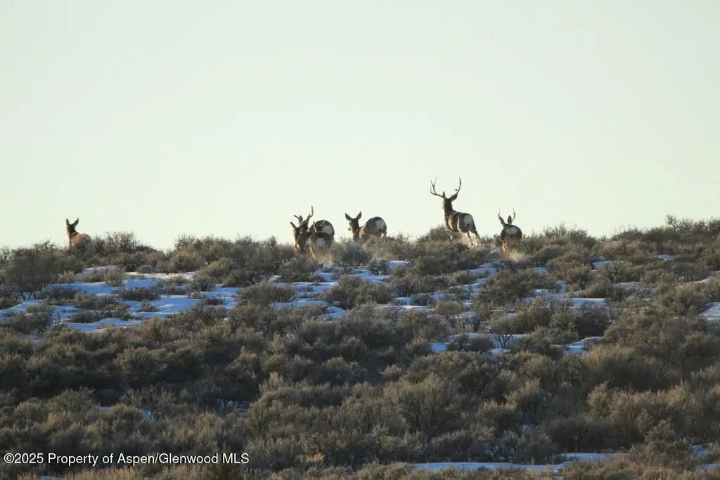 23 of 77 - Tbd County Road 53, Maybell, CO