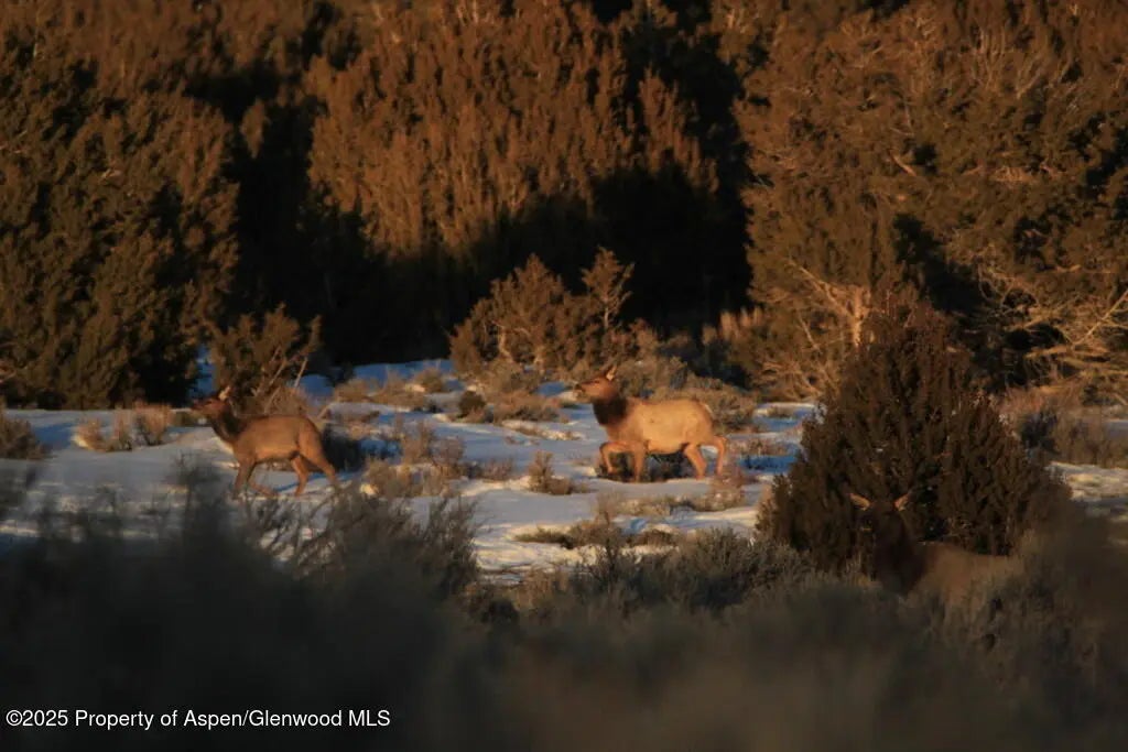 24 of 77 - Tbd County Road 53, Maybell, CO