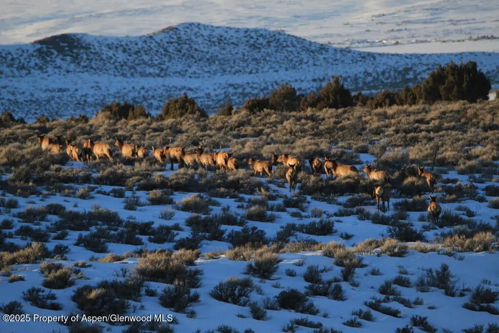 38 of 77 - Tbd County Road 53, Maybell, CO