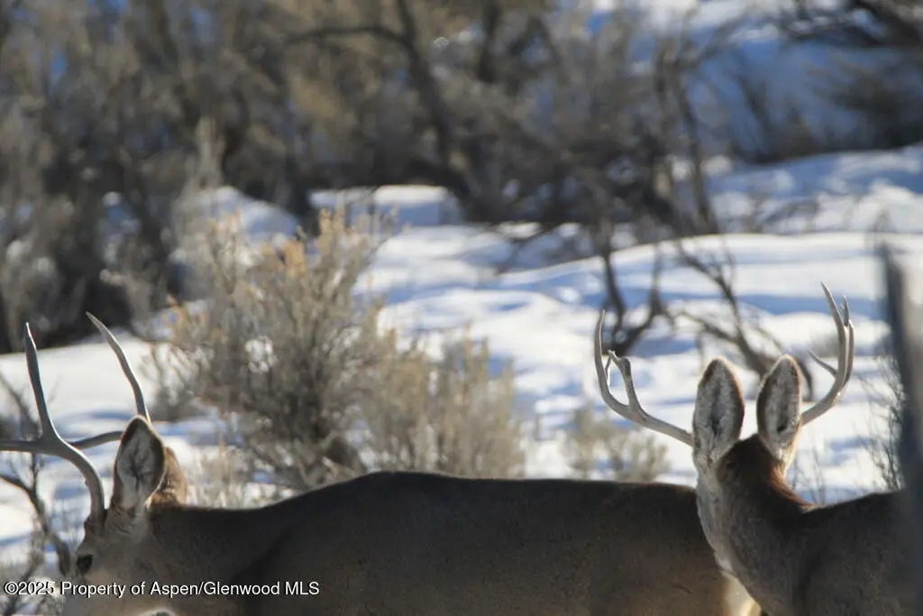 39 of 77 - Tbd County Road 53, Maybell, CO
