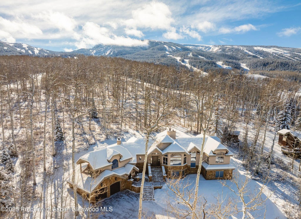 141 Baby Doe Lane, Snowmass Village
