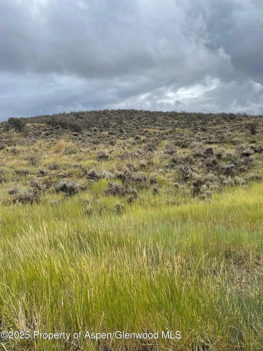 1 of 10 - Tbd Pine Ridge Trail, Craig, CO