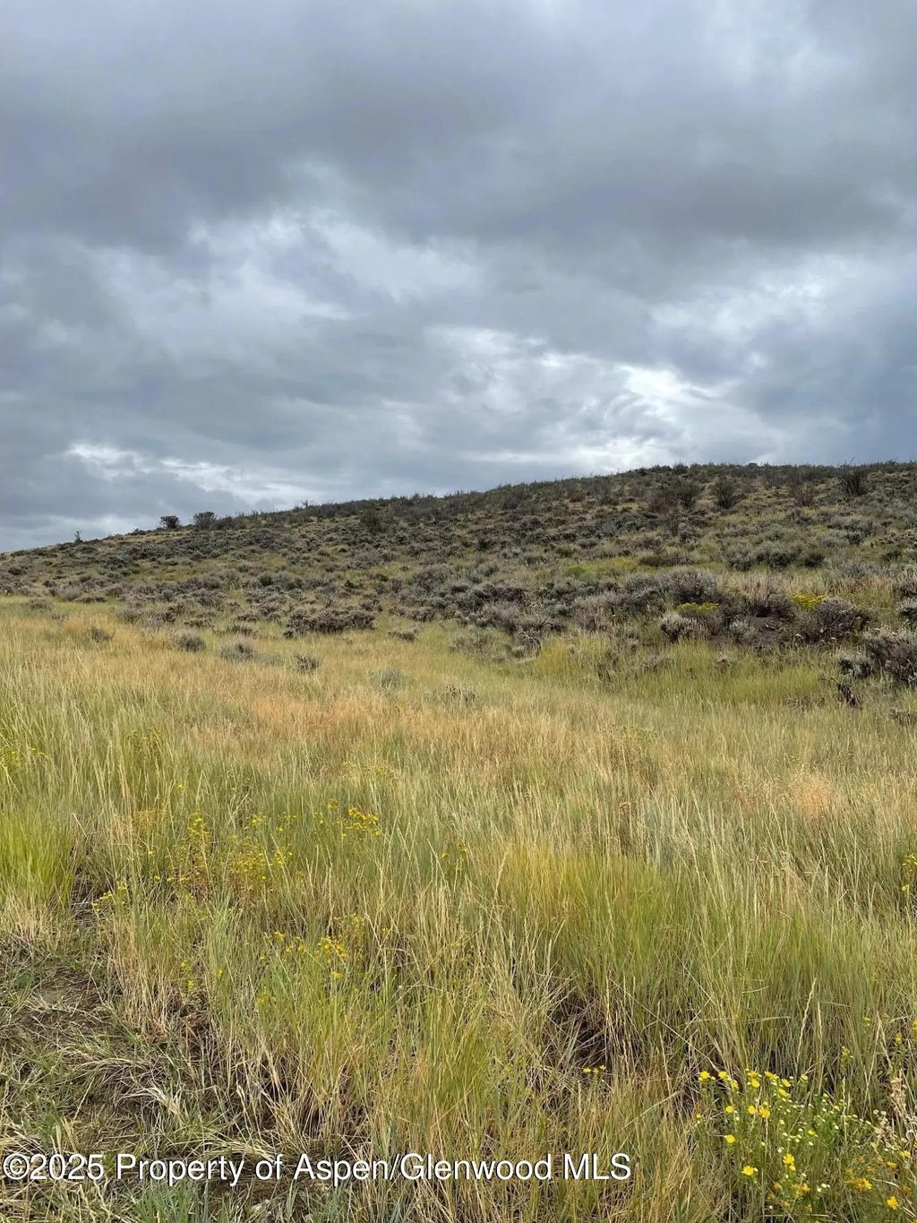 6 of 10 - Tbd Pine Ridge Trail, Craig, CO