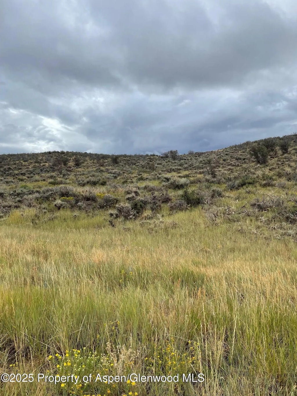 7 of 10 - Tbd Pine Ridge Trail, Craig, CO