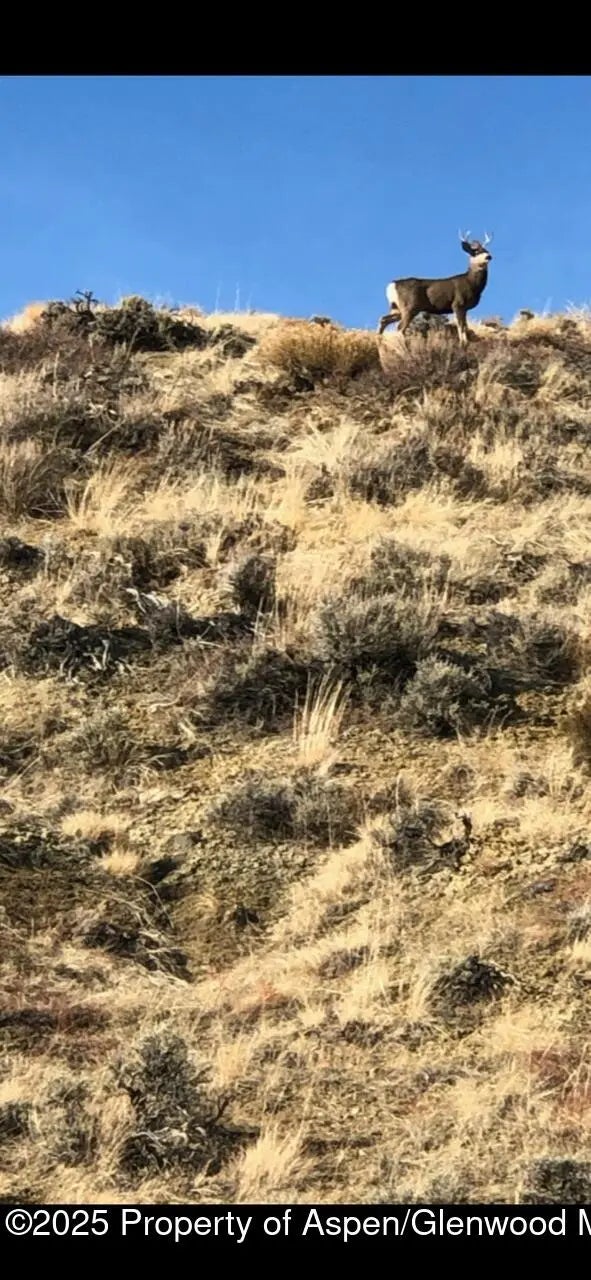 9 of 10 - Tbd Pine Ridge Trail, Craig, CO