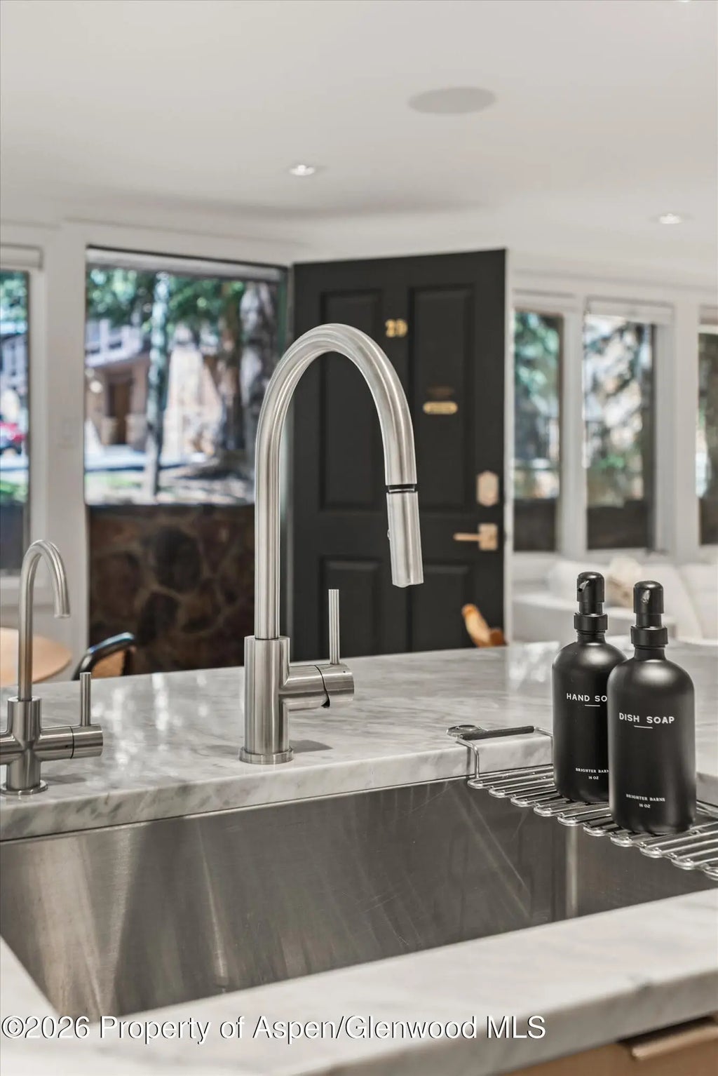 14 of 25 - 731 S Mill Street Unit 2d, Aspen, CO