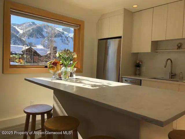 1136 Vine Street 1136, Aspen