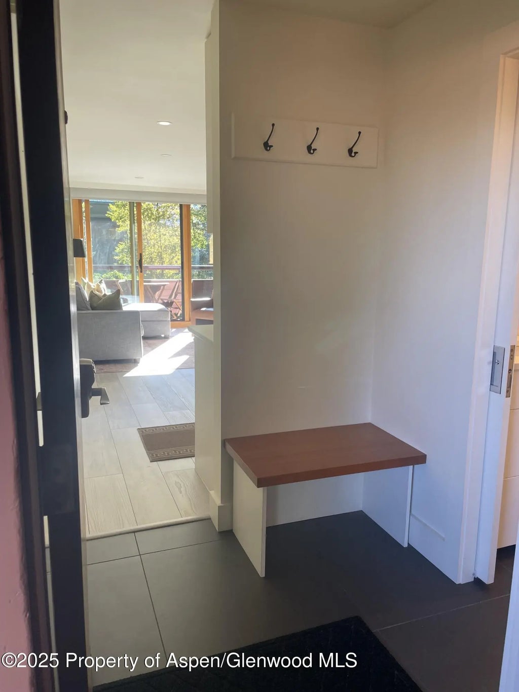 9 of 13 - 1136 Vine Street 1136, Aspen, CO