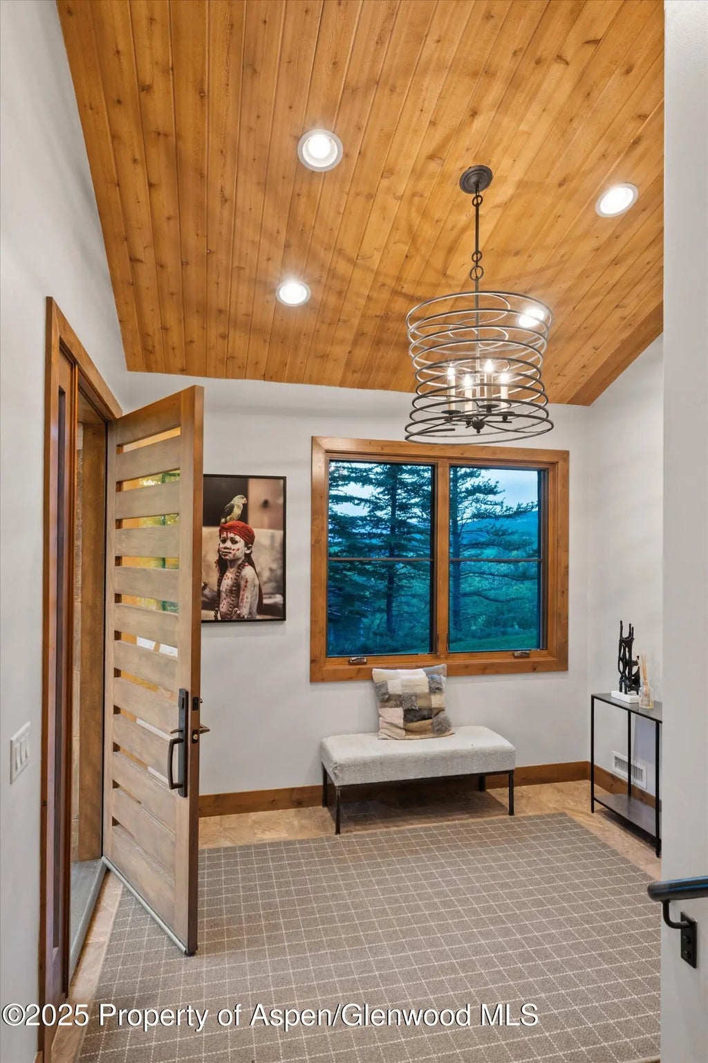 21 of 51 - 238 Terrace Drive, Snowmass Village, CO