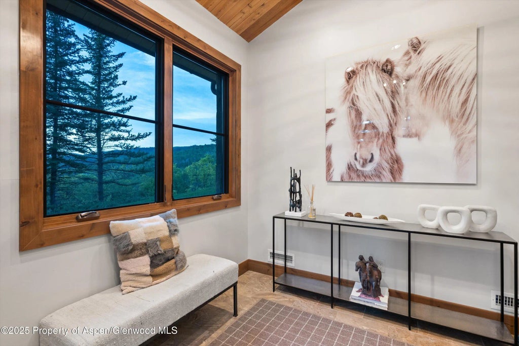 22 of 51 - 238 Terrace Drive, Snowmass Village, CO