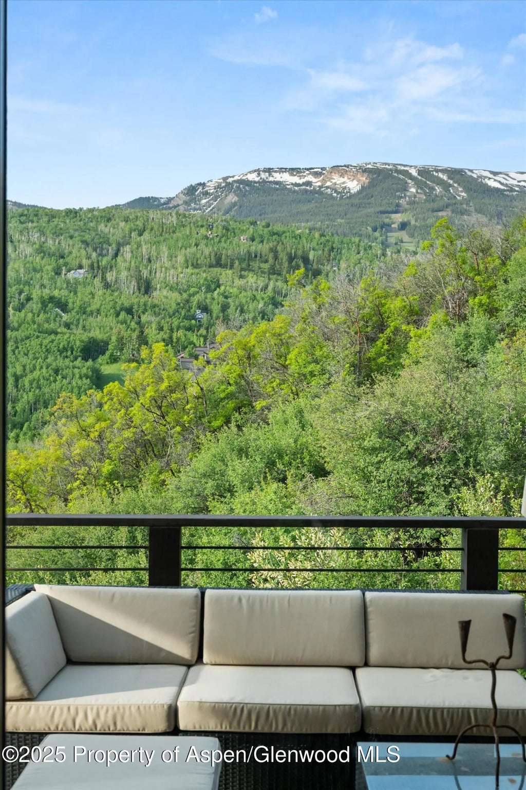 44 of 51 - 238 Terrace Drive, Snowmass Village, CO