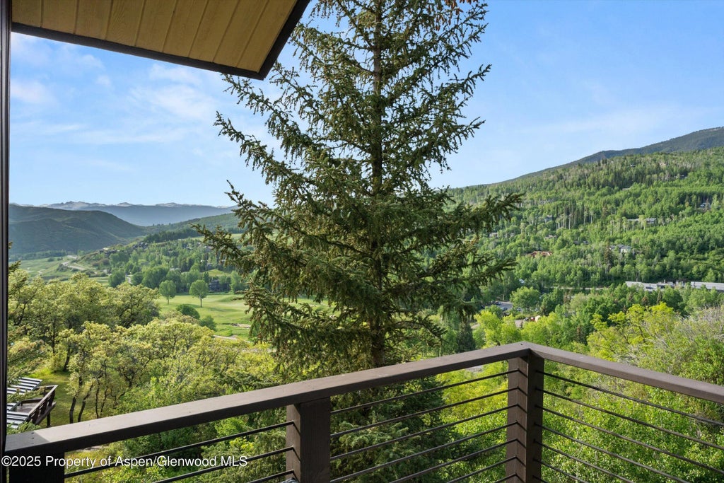 45 of 51 - 238 Terrace Drive, Snowmass Village, CO