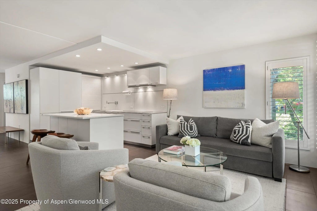 800 E Hopkins Avenue A-3, Aspen