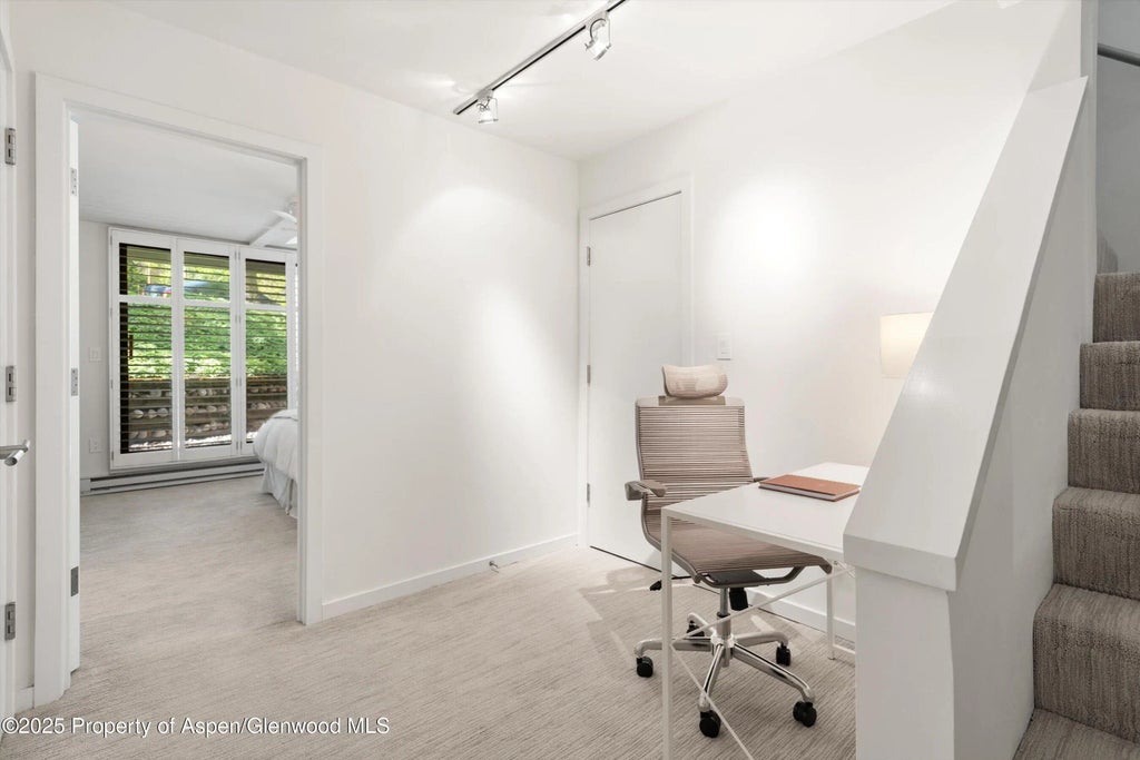 17 of 34 - 800 E Hopkins Avenue A-3, Aspen, CO