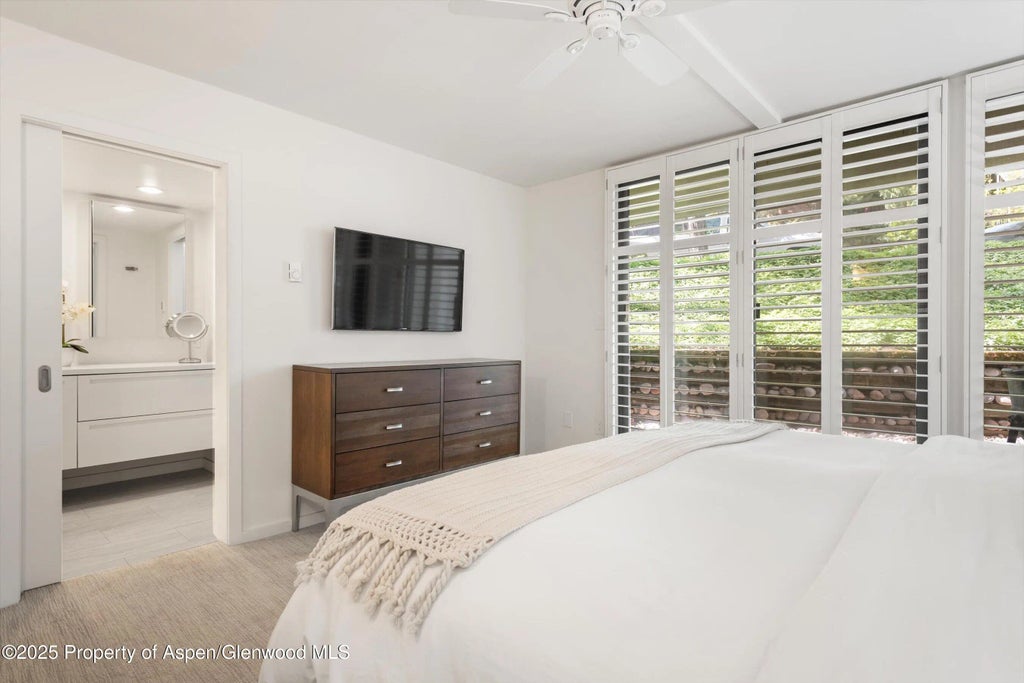 20 of 34 - 800 E Hopkins Avenue A-3, Aspen, CO