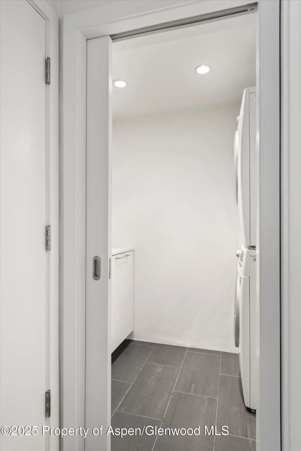 29 of 34 - 800 E Hopkins Avenue A-3, Aspen, CO