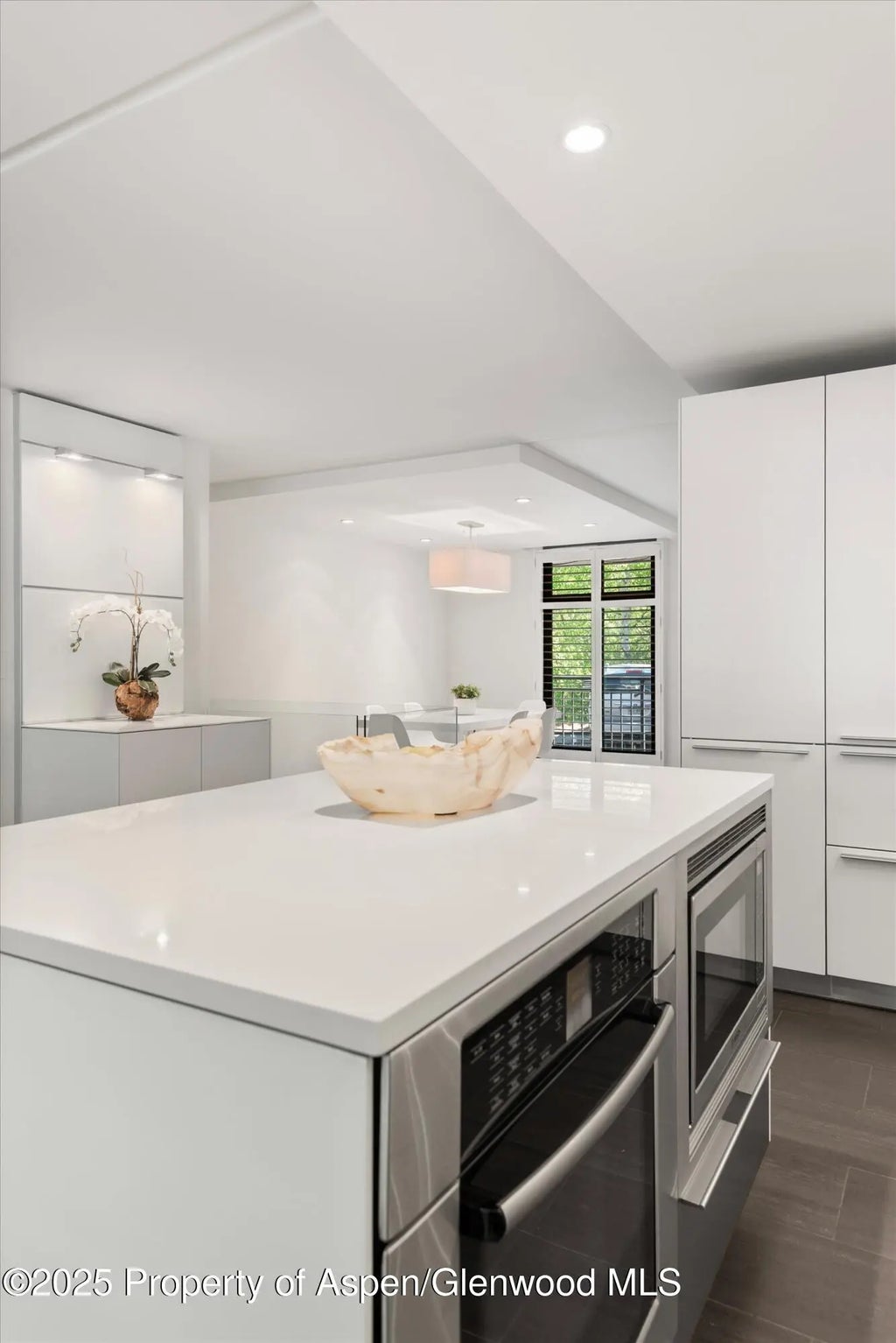 8 of 34 - 800 E Hopkins Avenue A-3, Aspen, CO