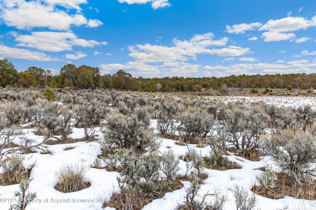 10 of 20 - 3408 Elk Springs Drive, Glenwood Springs, CO