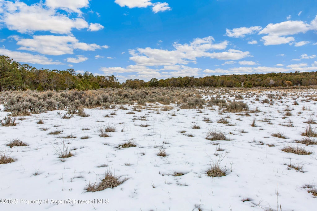 11 of 20 - 3408 Elk Springs Drive, Glenwood Springs, CO