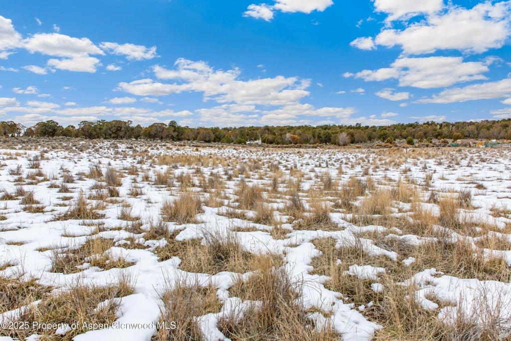 12 of 20 - 3408 Elk Springs Drive, Glenwood Springs, CO