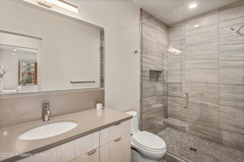 25 of 34 - 113 Valley Court, Basalt, CO