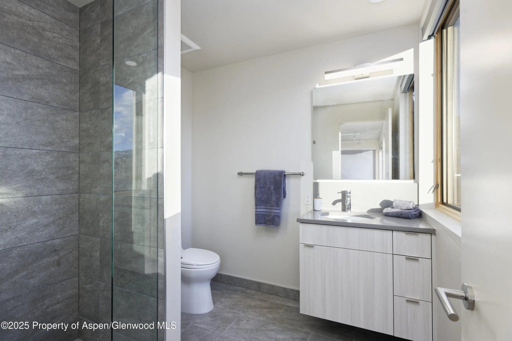 29 of 34 - 113 Valley Court, Basalt, CO