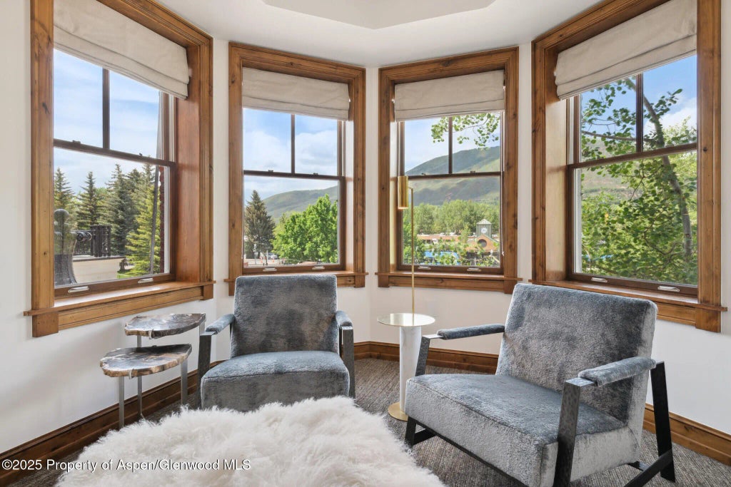 14 of 30 - 415 E Dean St., Unit 15, Week 33, Aspen, CO