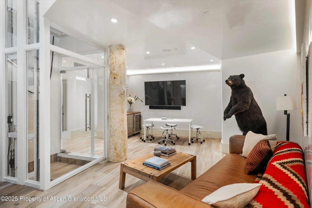 41 of 60 - 63 Smuggler Grove, Aspen, CO