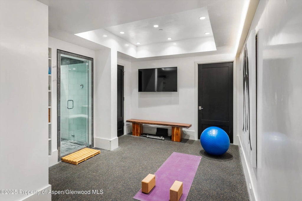 44 of 60 - 63 Smuggler Grove, Aspen, CO