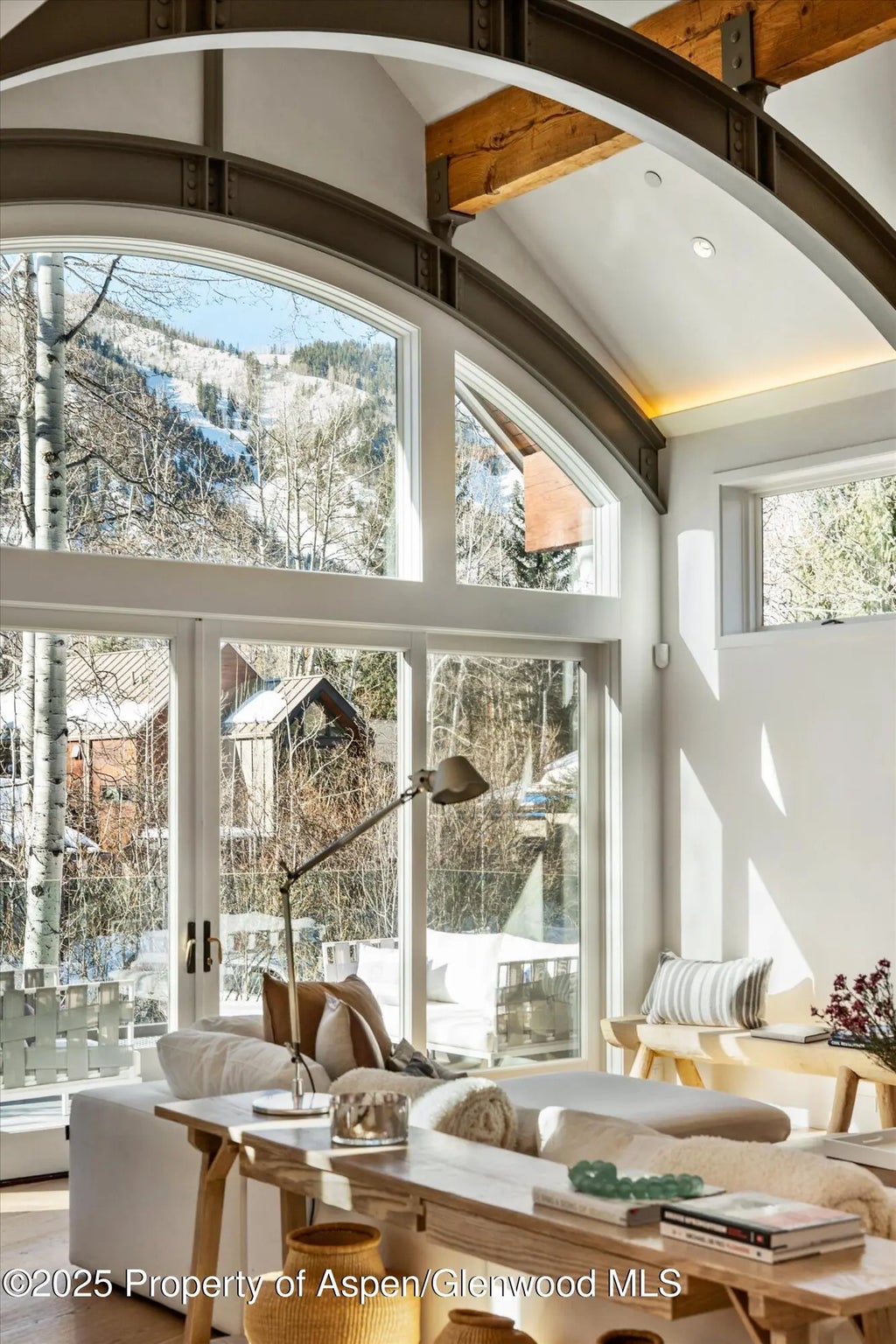 7 of 60 - 63 Smuggler Grove, Aspen, CO