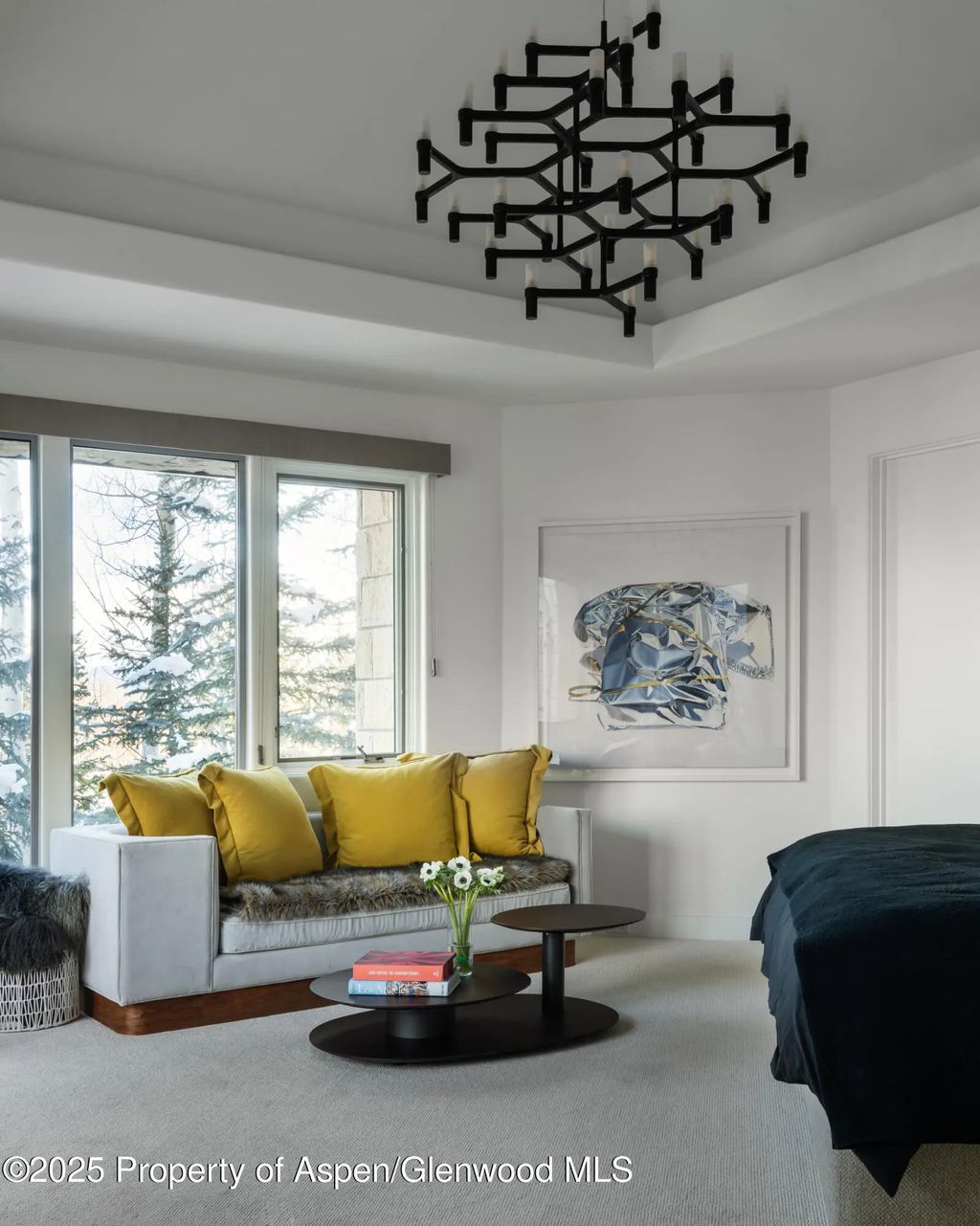 22 of 31 - 189 Aspen Way, Snowmass Village, CO
