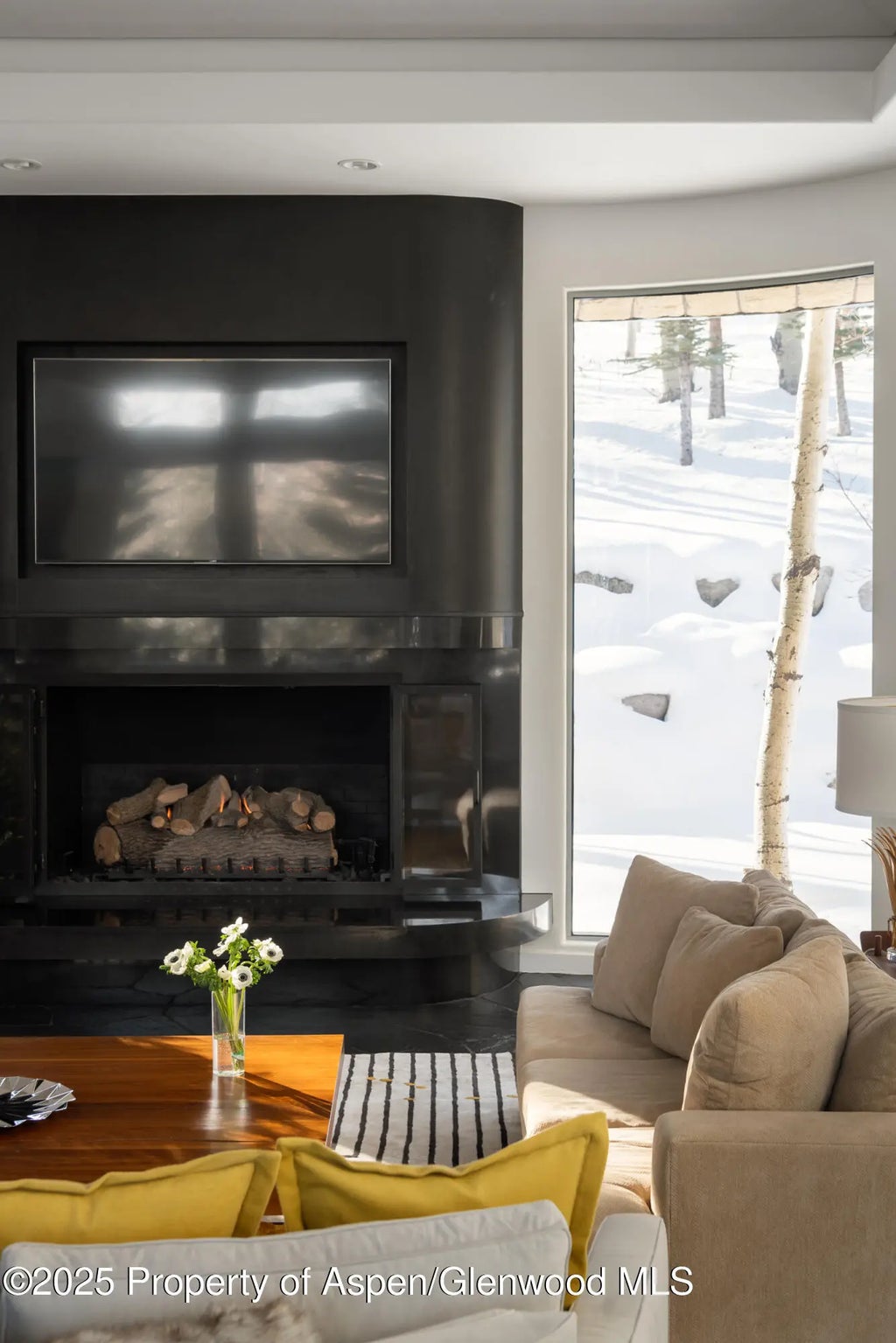 8 of 24 - 189 Aspen Way, Snowmass Village, CO