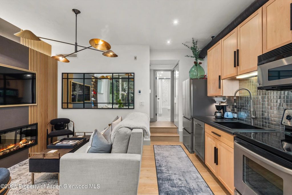 11 of 16 - 434 E Main Street 104, Aspen, CO