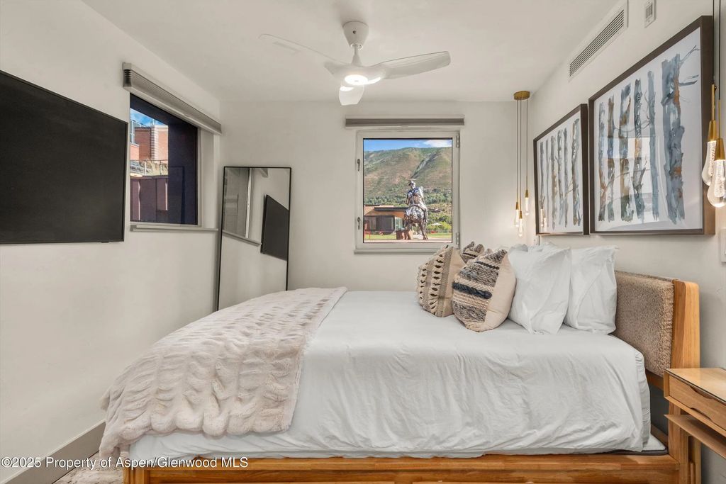 12 of 16 - 434 E Main Street 104, Aspen, CO