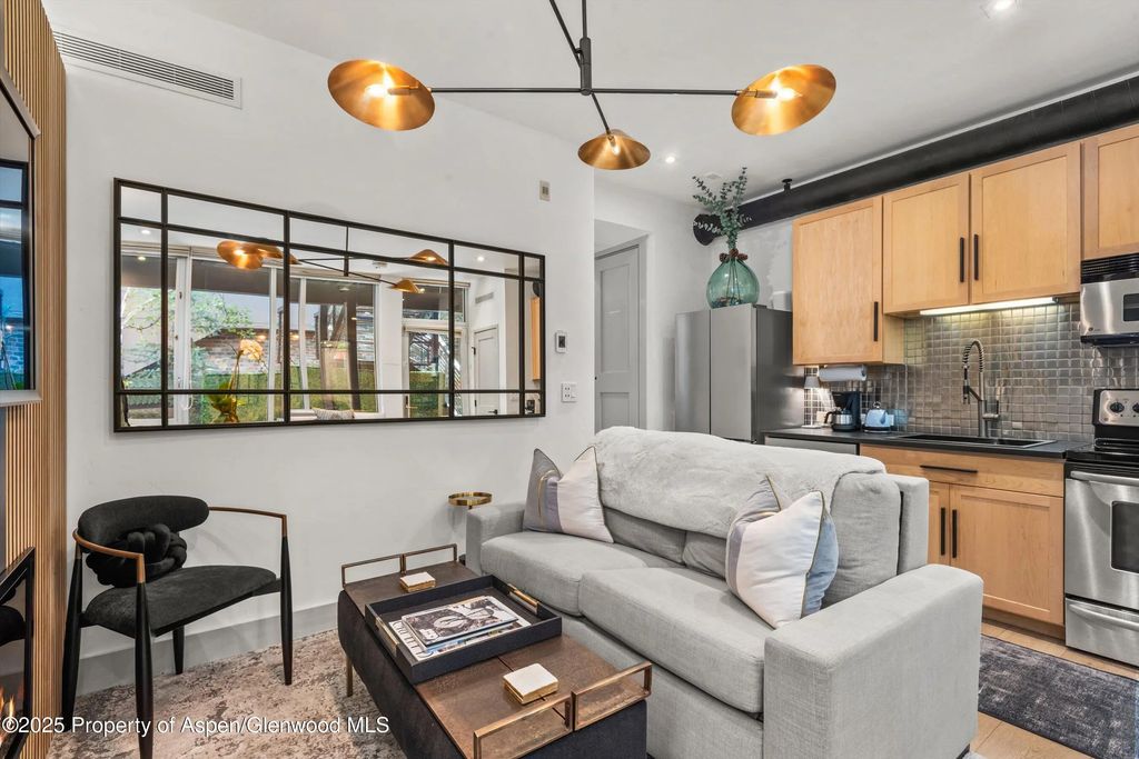6 of 16 - 434 E Main Street 104, Aspen, CO
