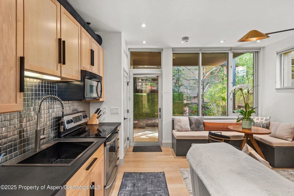 9 of 16 - 434 E Main Street 104, Aspen, CO