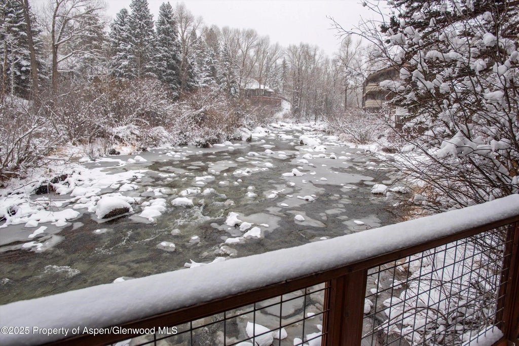 10 of 11 - 1050 Waters Avenue 11, Aspen, CO