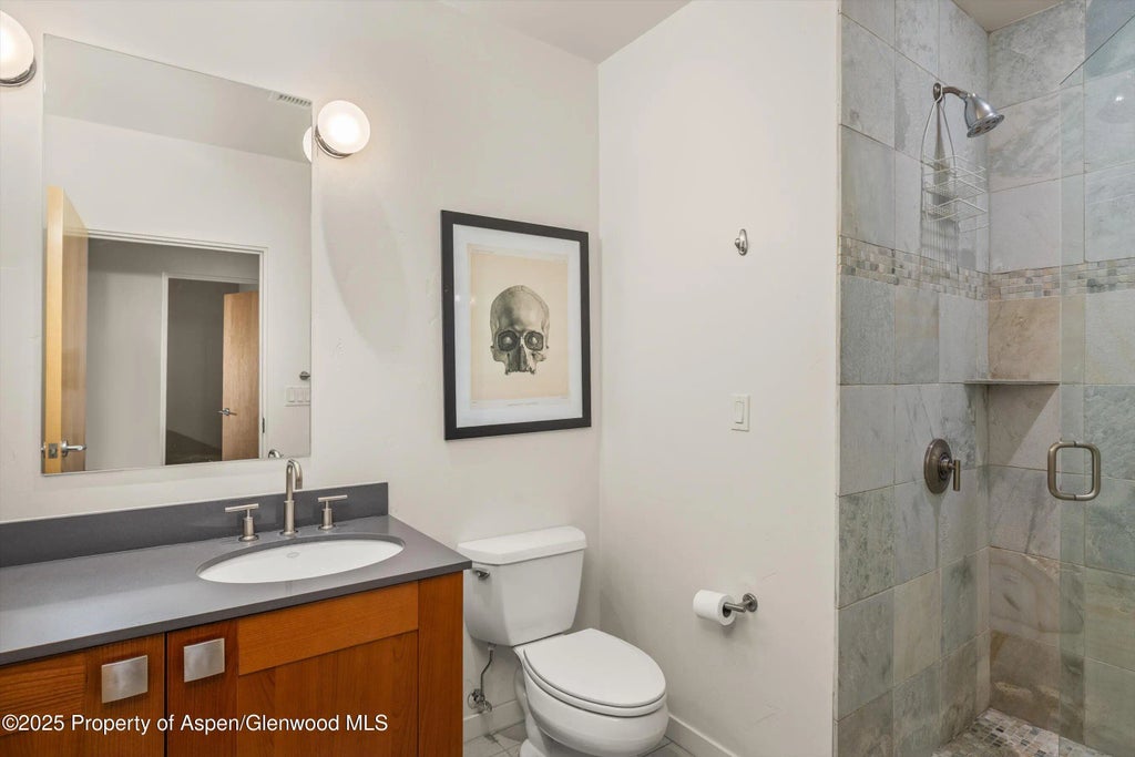 10 of 17 - 231 Robinson Street 302, Basalt, CO