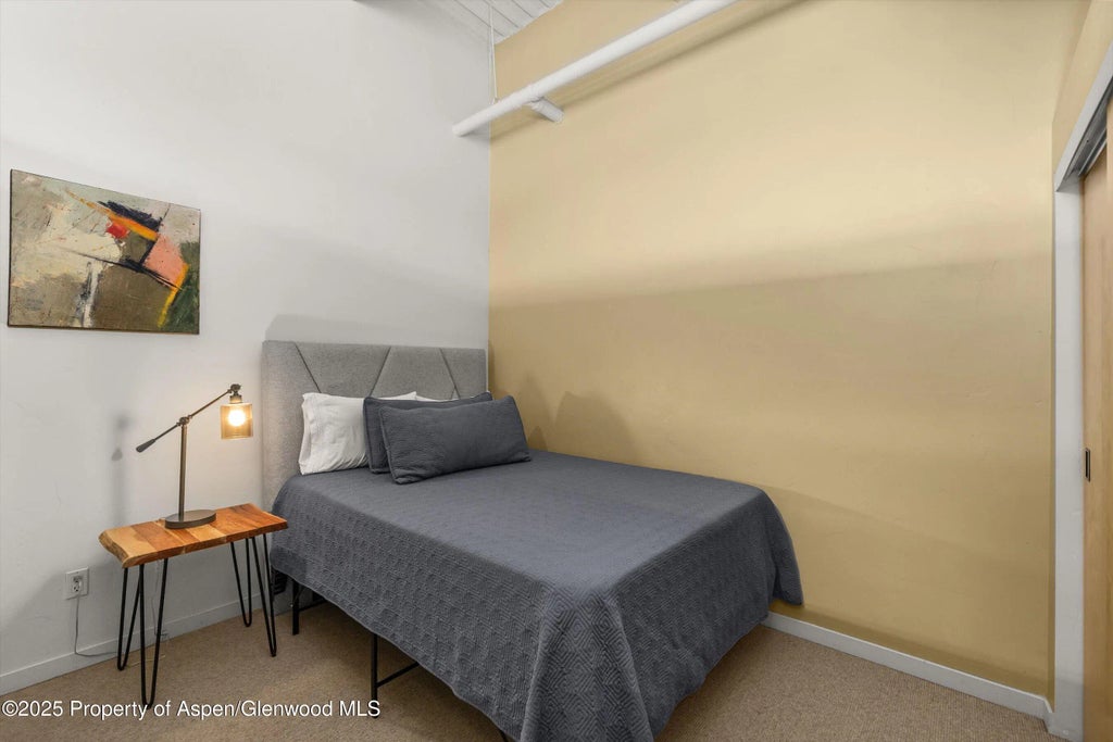 12 of 17 - 231 Robinson Street 302, Basalt, CO