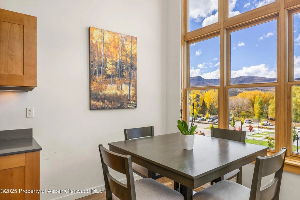 6 of 17 - 231 Robinson Street 302, Basalt, CO