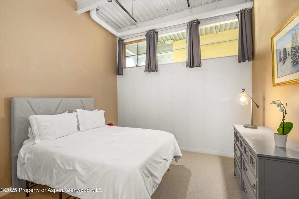 8 of 17 - 231 Robinson Street 302, Basalt, CO