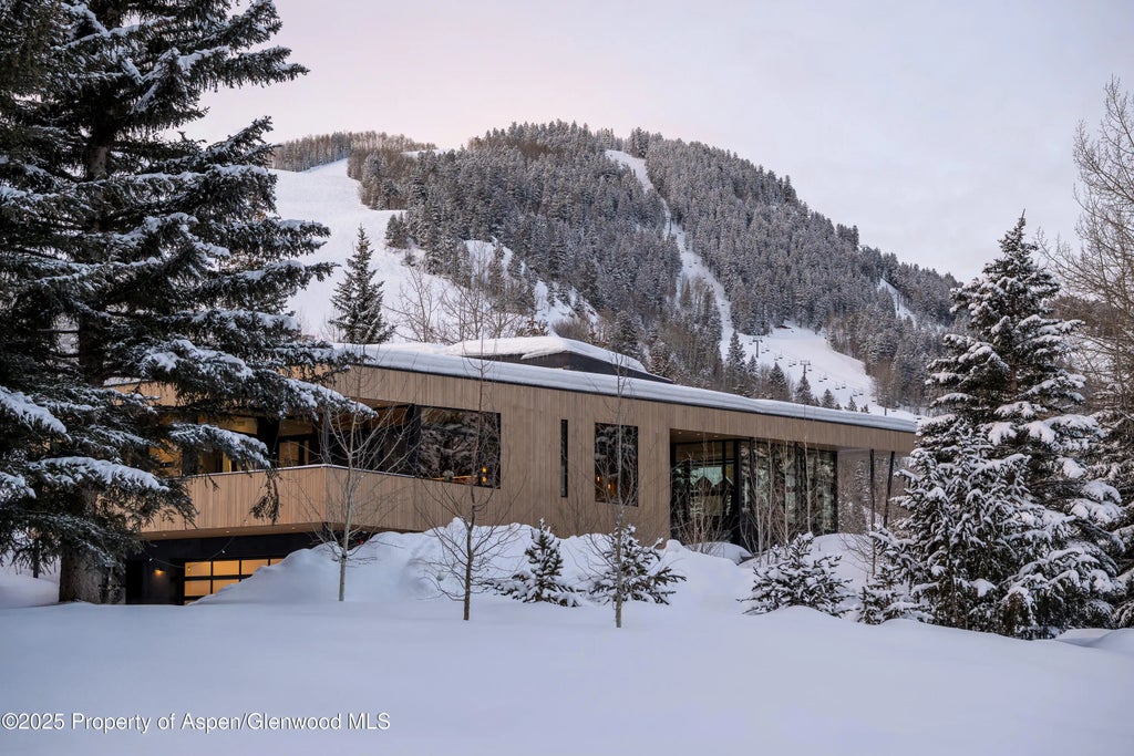 4 of 59 - 296 Glen Dee Road, Aspen, CO