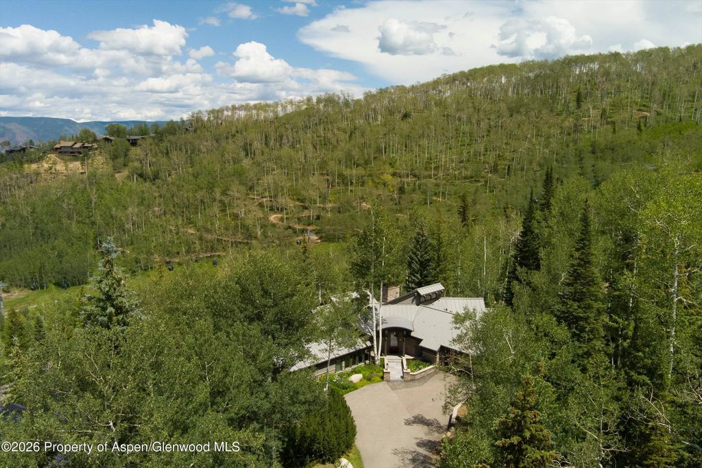 68 of 84 - 1248 Wood Road, Snowmass Village, CO