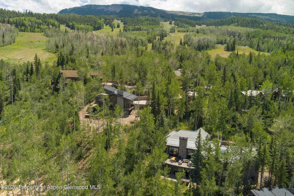 74 of 84 - 1248 Wood Road, Snowmass Village, CO