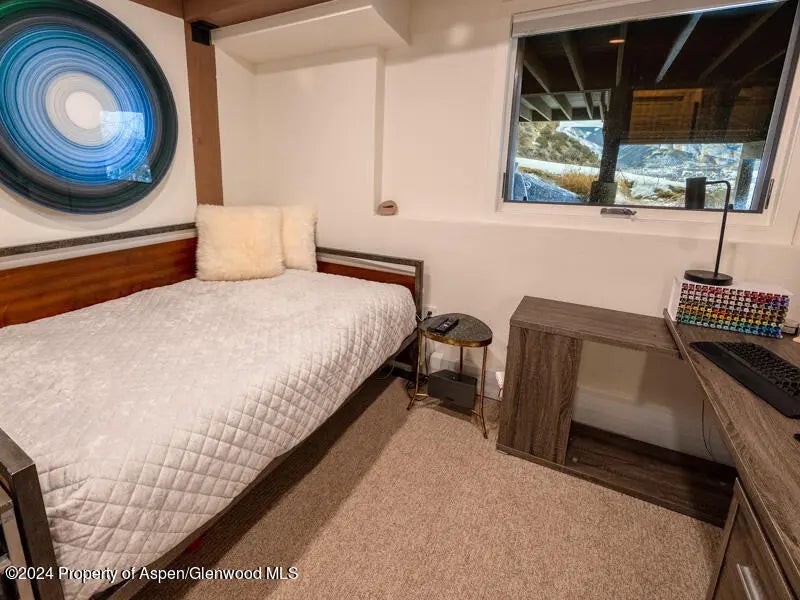 11 of 19 - 1711 Juniper Hill Drive, Aspen, CO